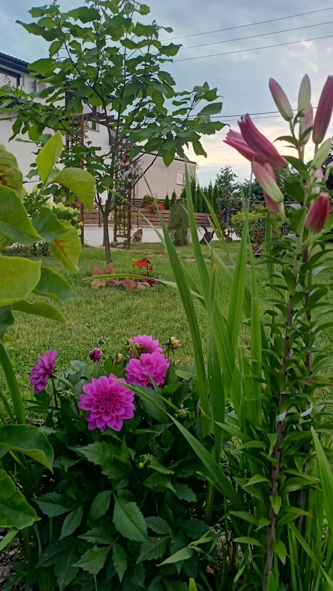 Ostoja Zamek Gora Kalwaria * Czersk