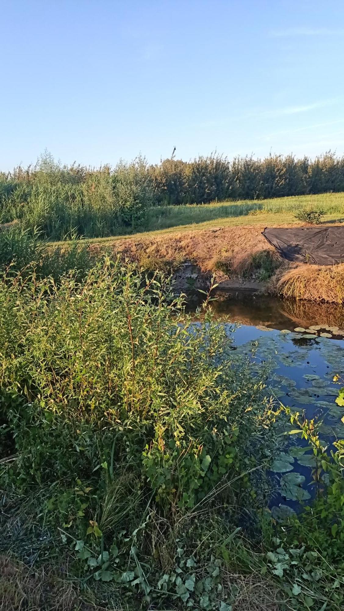 Apartmán Ostoja Zamek Gora Kalwaria