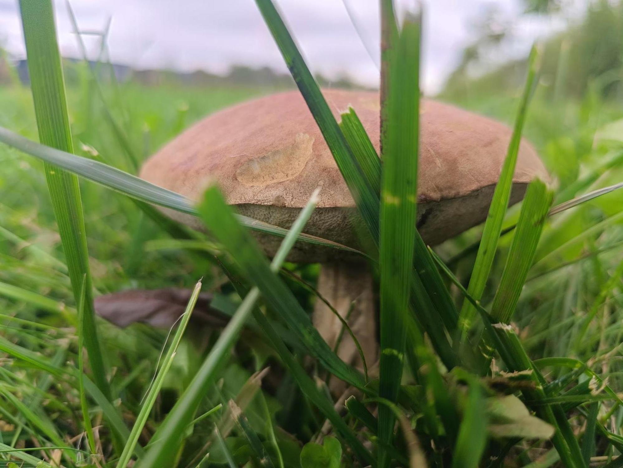 Ostoja Zamek Gora Kalwaria Apartmán